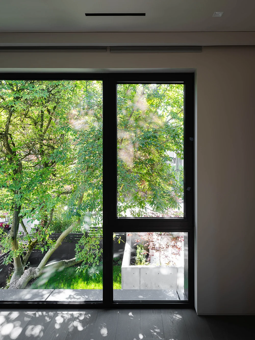Full height glazed door onto a mature tree, its trunk splitting the two leaves