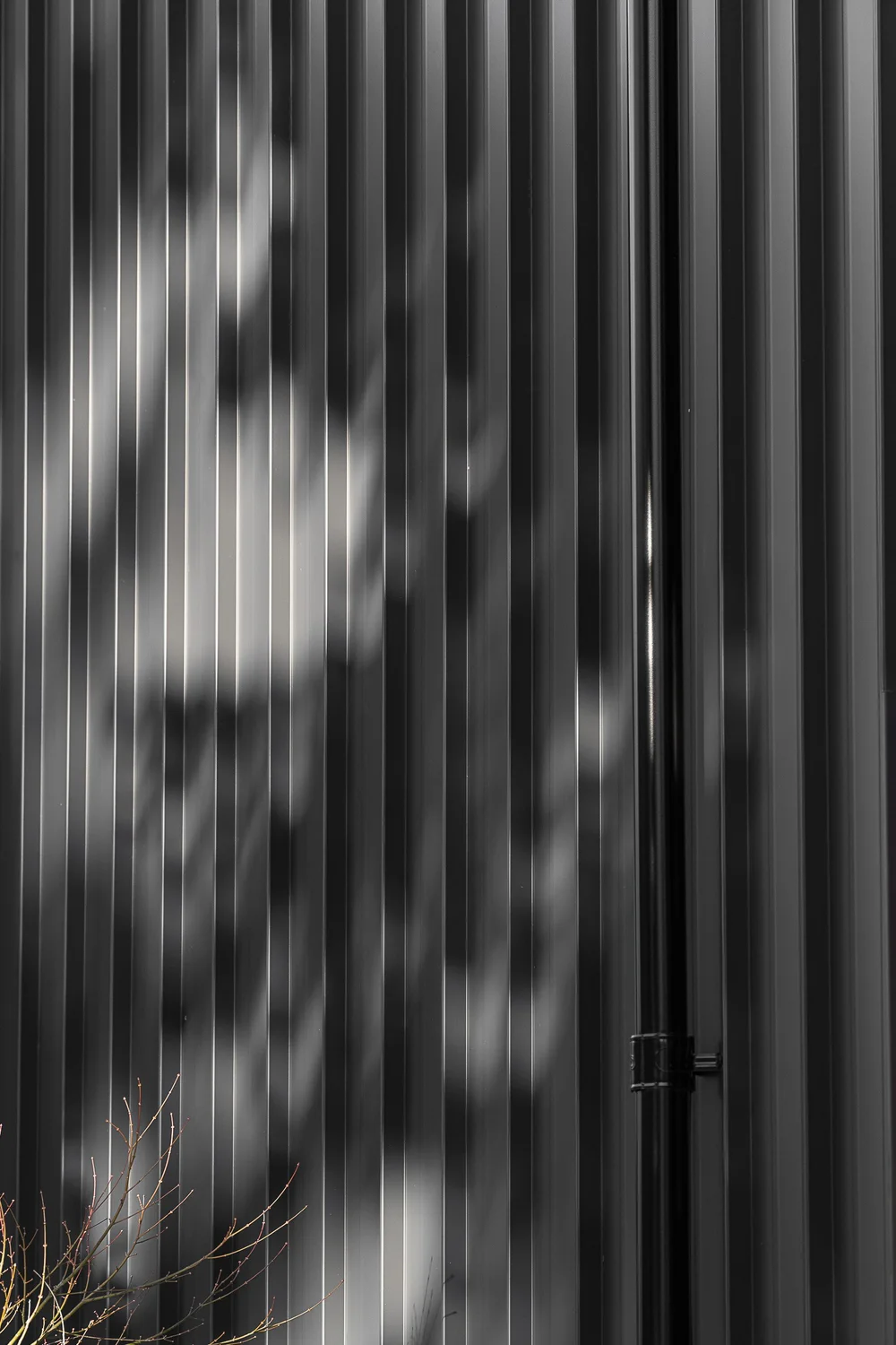 Branch shadows across dark vertical cladding, a slim handle marking a flush door
