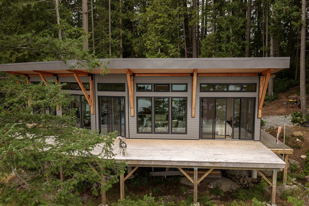 The long glazed elevation above a wide deck, forest rising behind, a dog on the boards