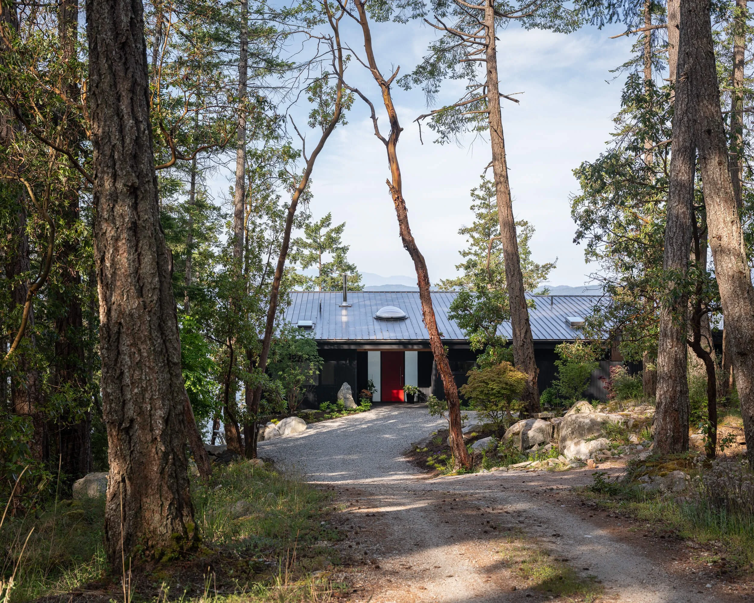 oles-cove-halfmoon-bay-approach-through-the-firs-architectural-photographer-matt-anthony.jpg