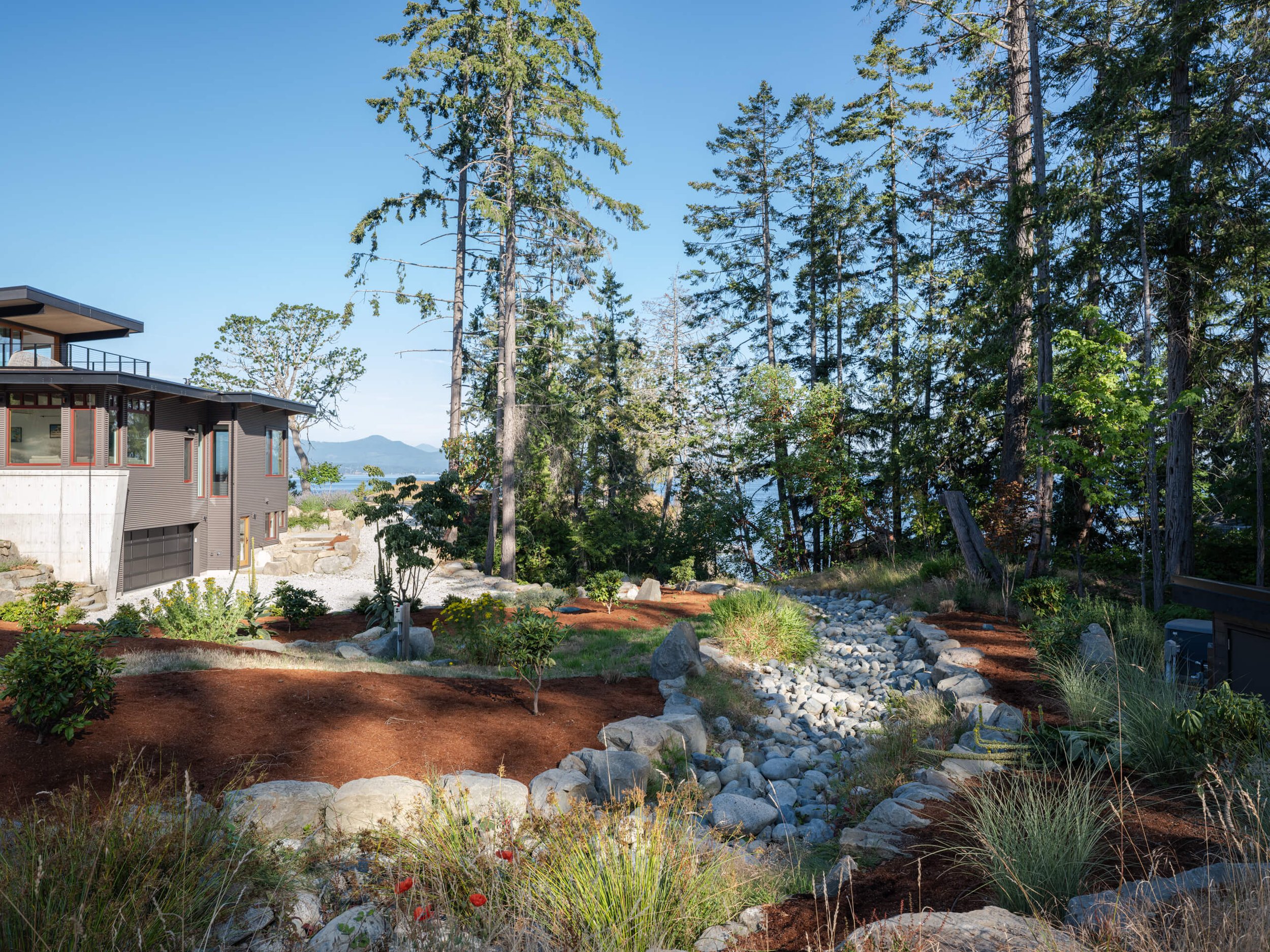 salt-spring-island-residence-dry-creek-rain-garden-architectural-photographer-matt-anthony.jpg