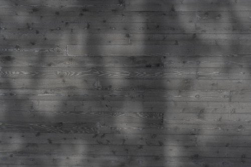 Warbler Residence Interior