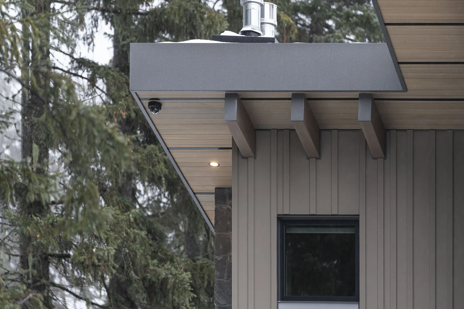 Deep roof overhang on exposed beam tails at a building corner, a tall evergreen alongside