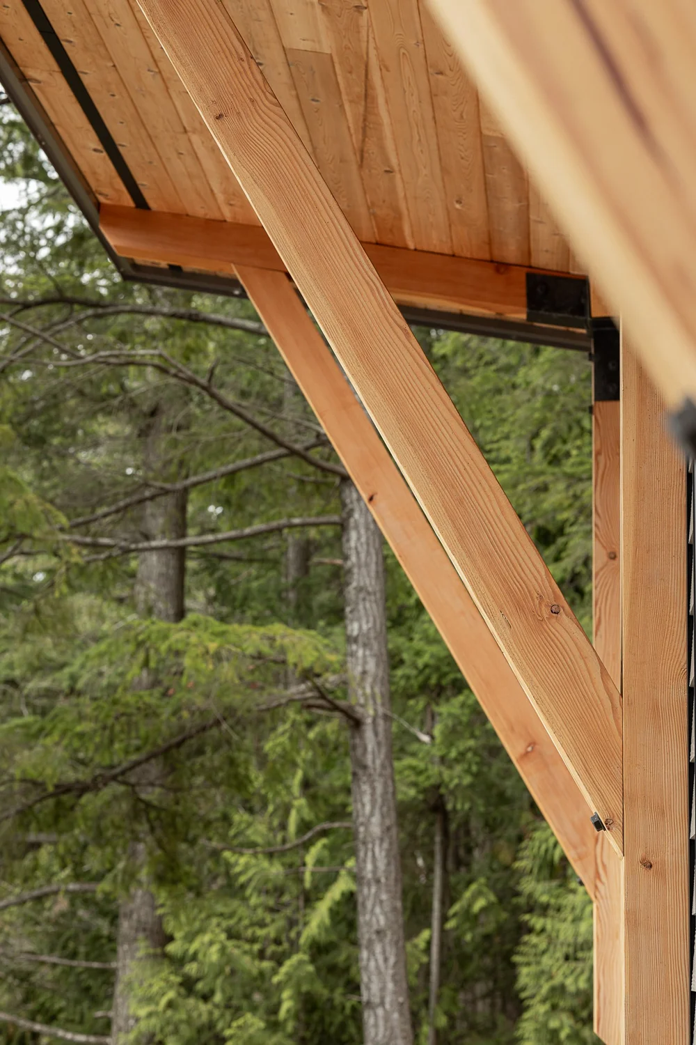 A diagonal wood brace meeting the roof, forest out of focus behind it