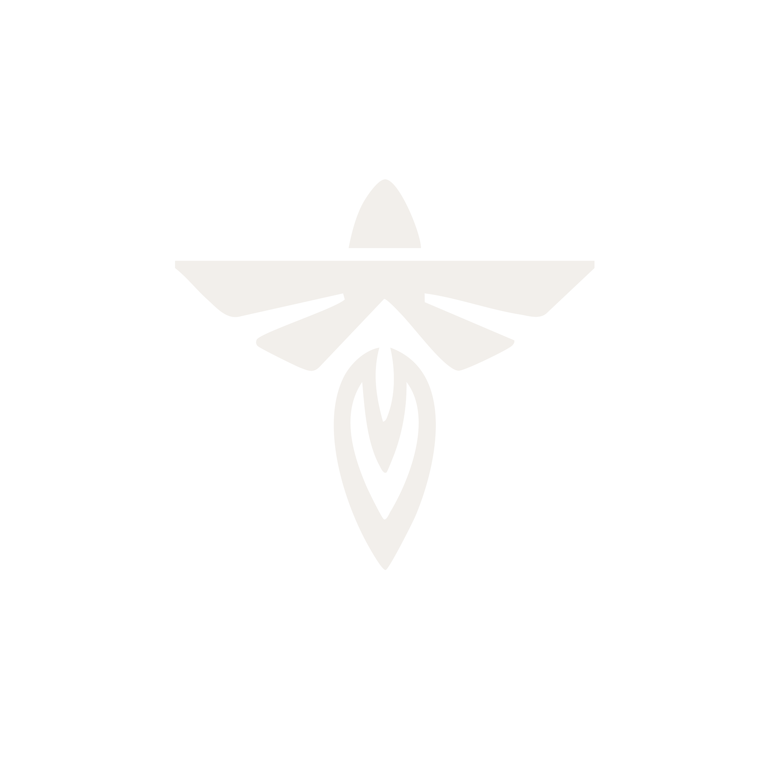 Firefly Aerospace
