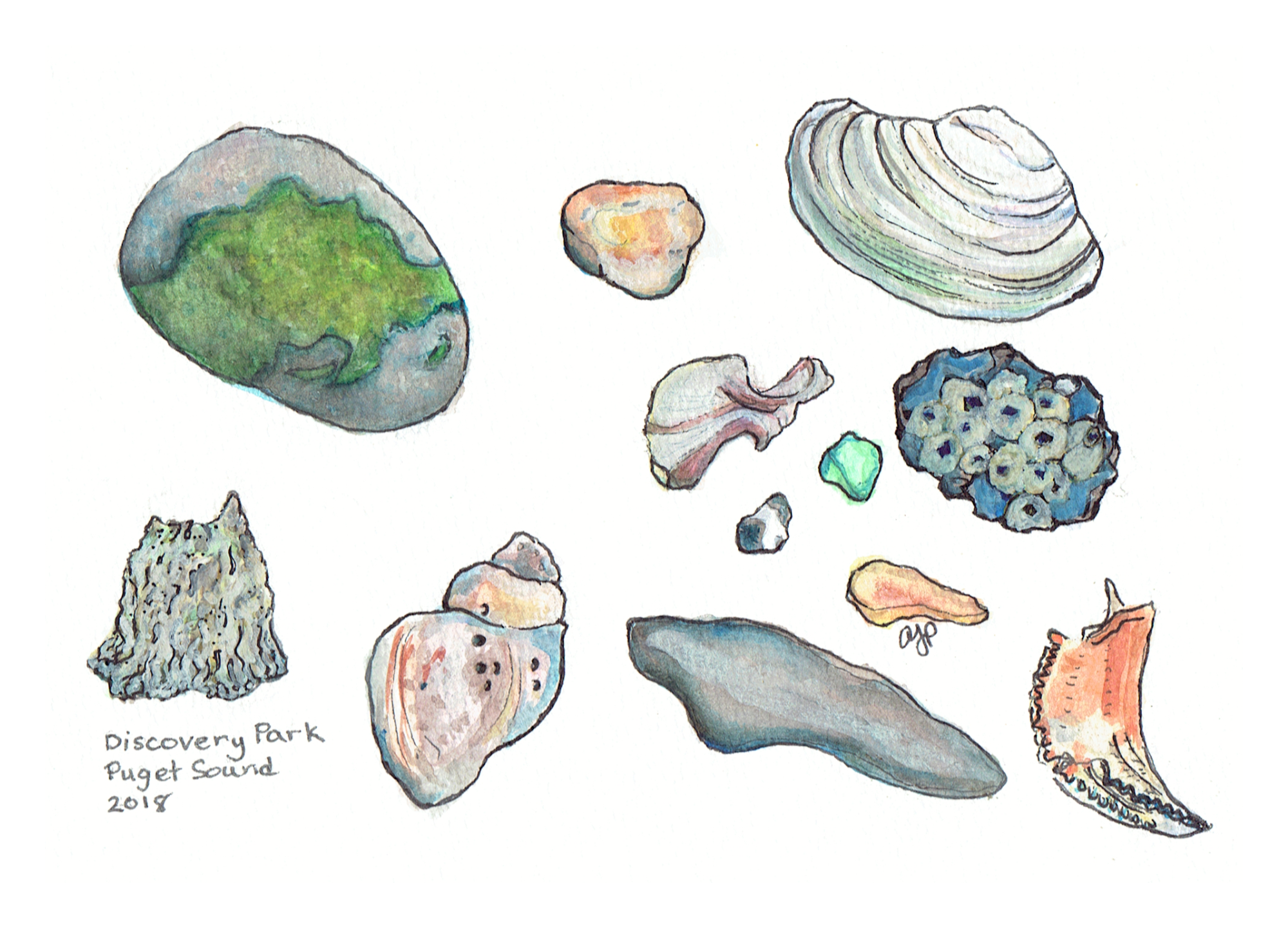 Discovery Park Beach Findings 5 x 7 Postcard.png