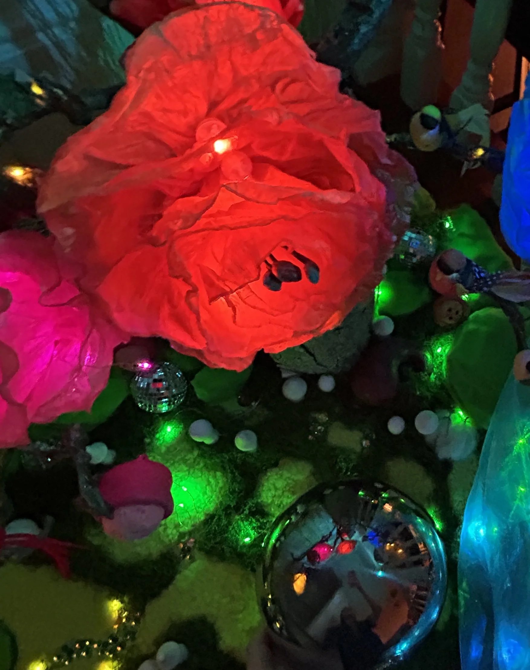 IMG_1680.JPEG
