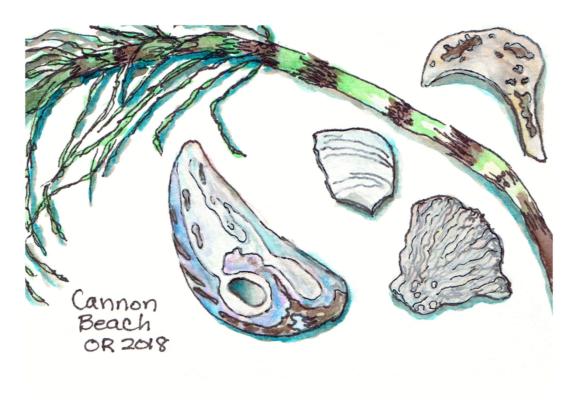 Cannon Beach Findings 5 x 7 Postcard.png