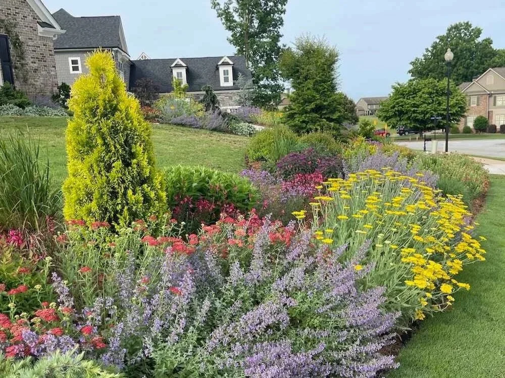 Spring tulip blooms and lush garden beds highlighting planting design in Duluth, GA