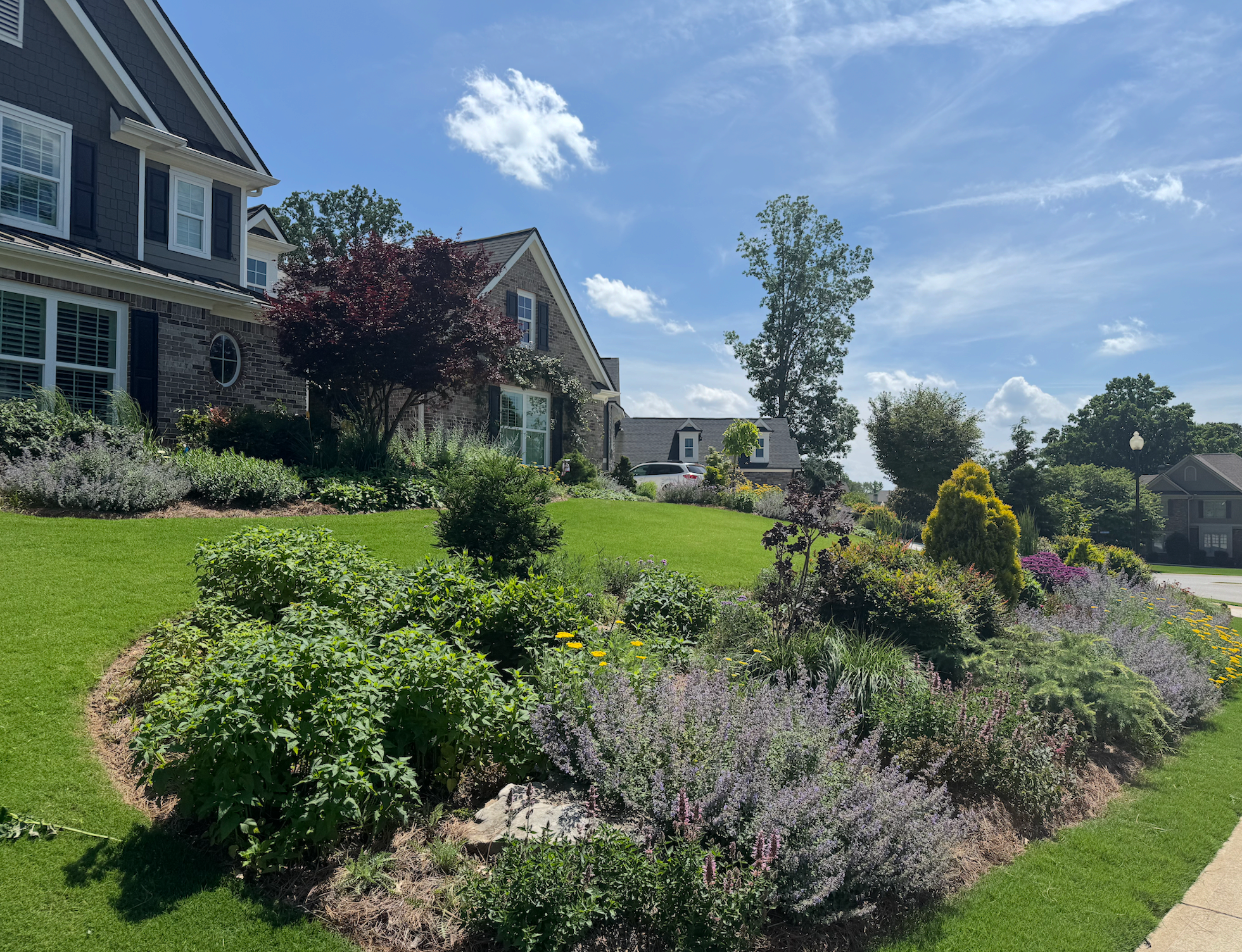 Transform Your Property With Professional Landscaping Services
