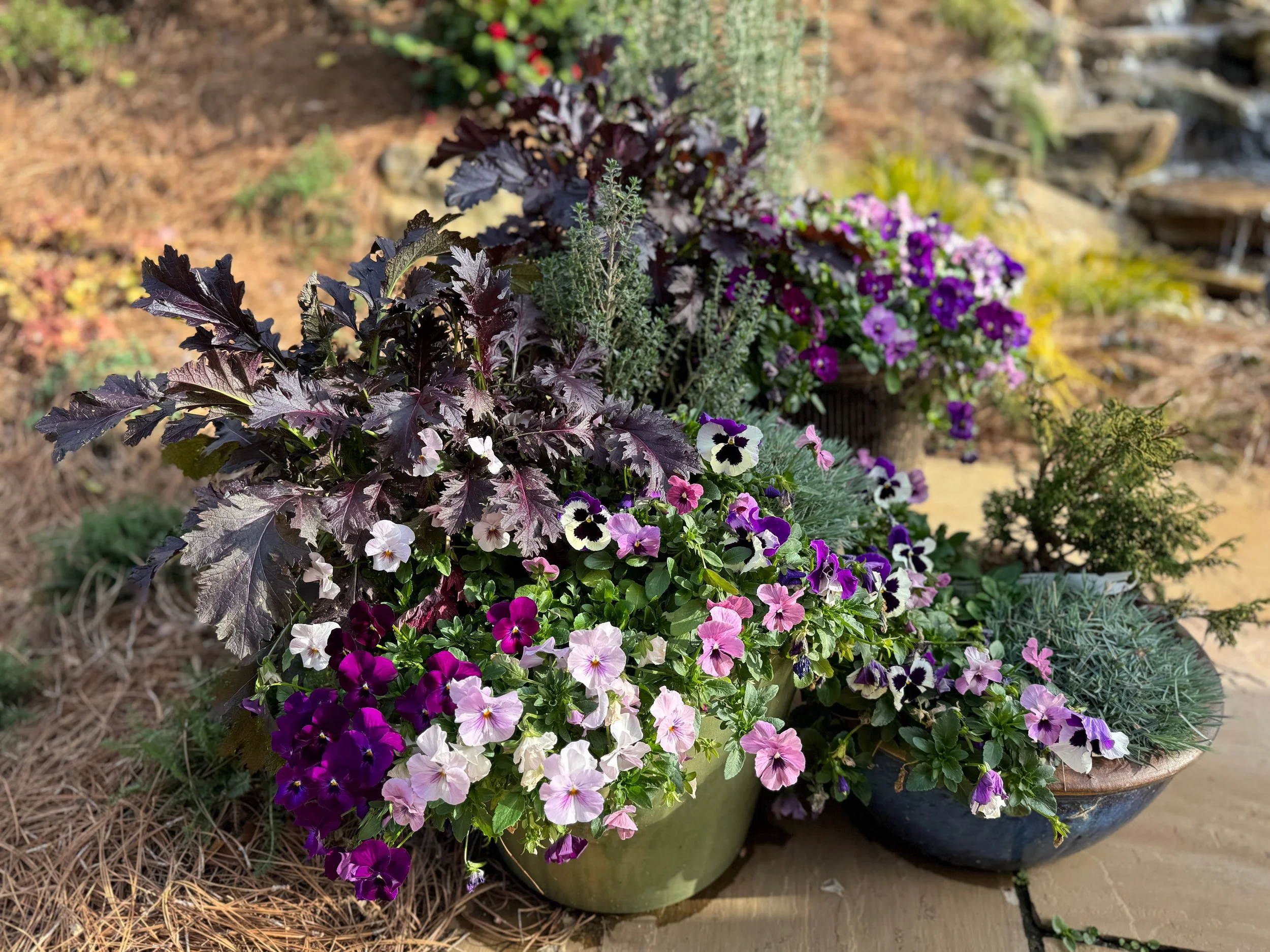 How to Choose the Right Plantings for Your Georgia Landscape&nbsp;
