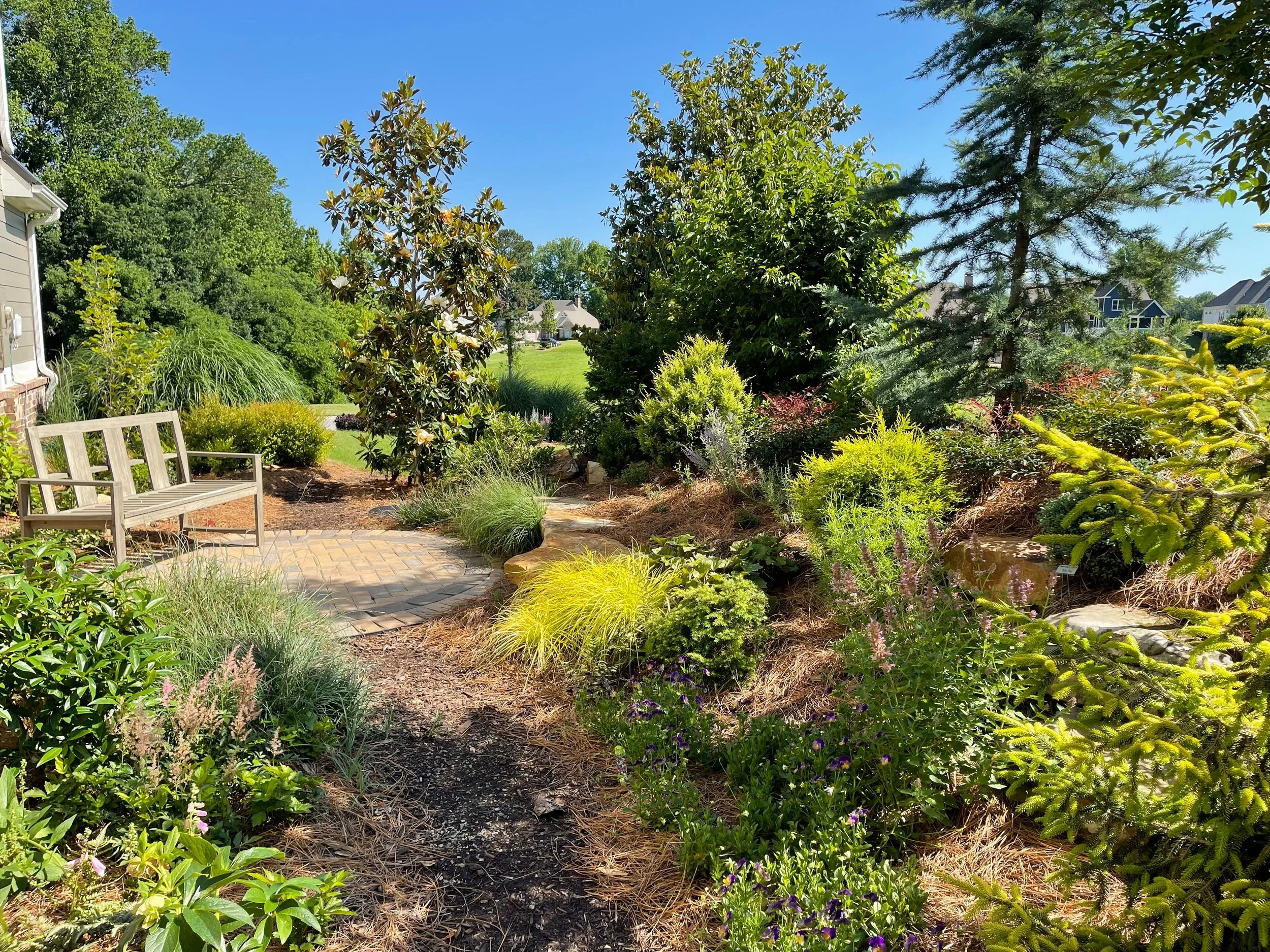 Patio landscape plantings with layered greenery and natural garden borders in Alpharetta, GA