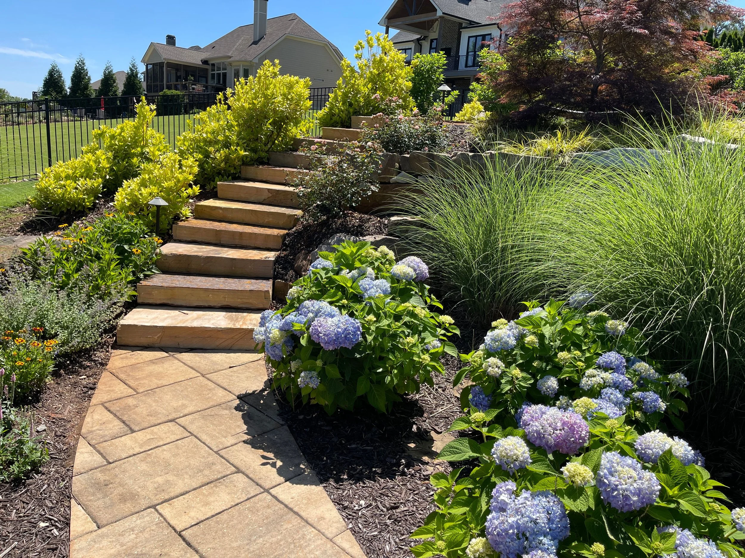 How to Choose the Right Plantings for Your Brookhaven, GA Landscape
