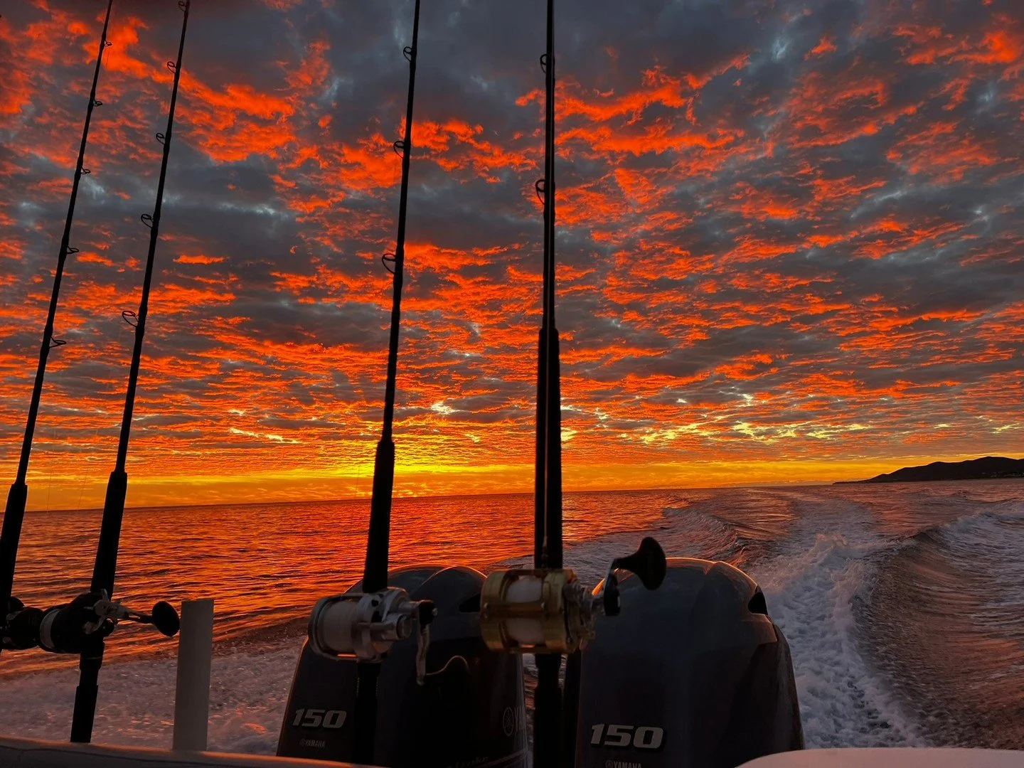 No better place to be than on a boat as the sky puts on a show! 🌅
Golden hour, calm waters, and a splash of adventure with Sonadora's private charters. 
#FishingLife #BoatingAdventure #SunsetVibes #SeaOfCortez #BajaCaliforniaSur #OceanLovers #Tr
