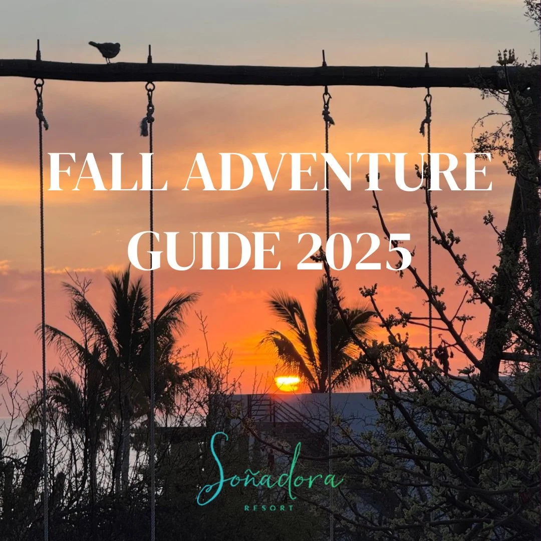 Fall Adventures Await at Sonadora Resort! 🌅 From thrilling sport fishing in the Sea of Cortez, to windsurfing, paddle boarding, and ATV adventures, Baja California Sur is the ultimate fall playground. Explore hidden waterfalls, snorkel vibrant reefs