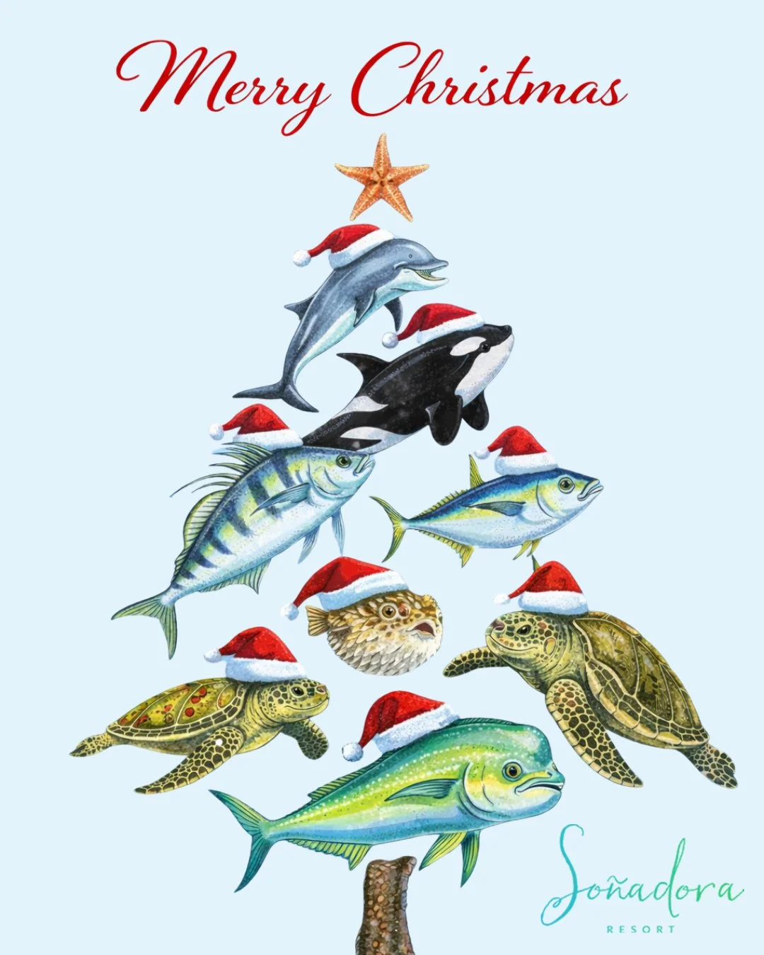 Our kind of Christmas tree 🎄🐠 Merry Christmas from Sonadora Resort!⁠
⁠
#merrychristmas #christmascard #sonadoraresort #fishing #sportfishing