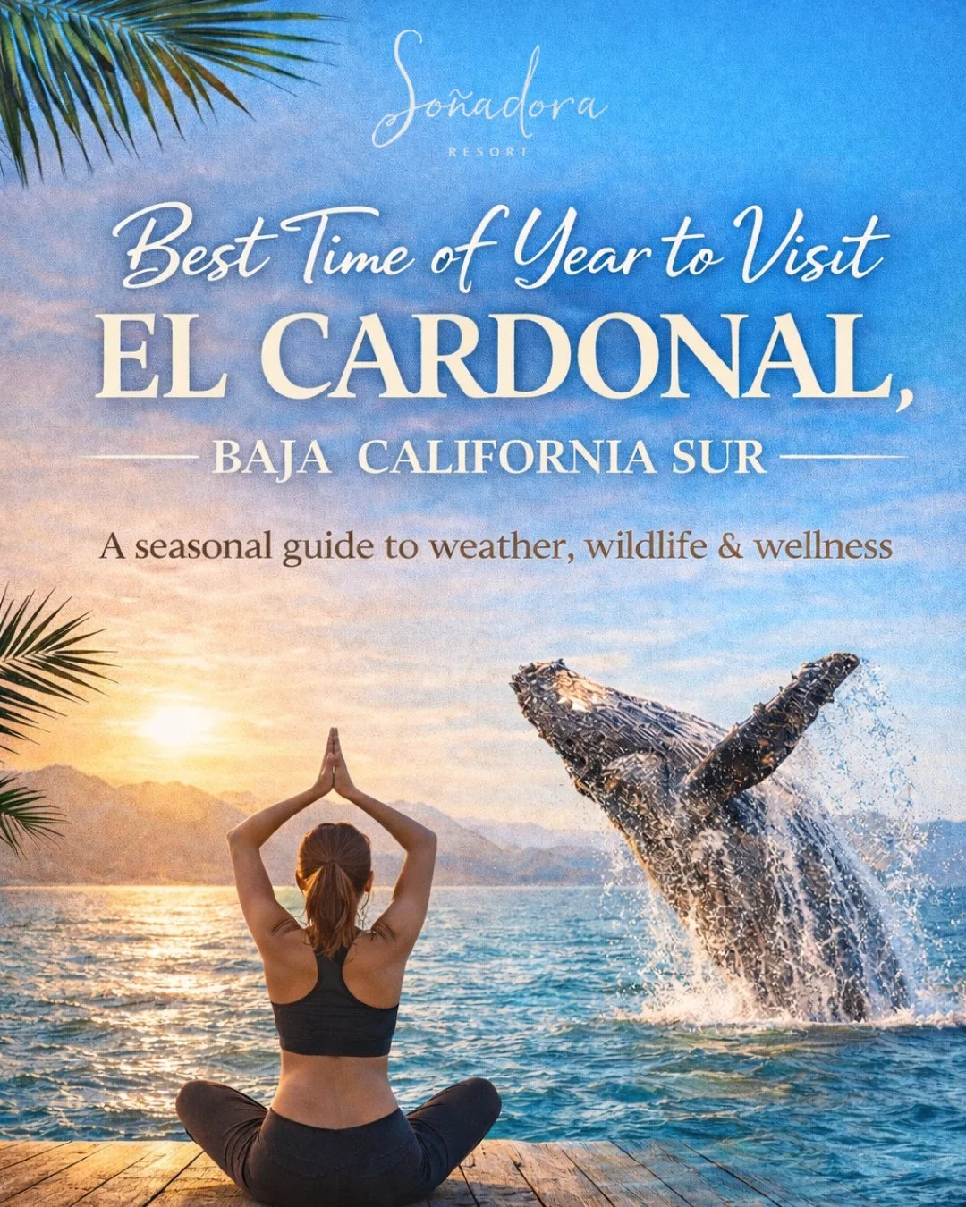 There&rsquo;s no bad time to visit Sonadora Resort, only different experiences.⁠
⁠
🐋 Winter for whale watching and cool, restful nights⁠
🌊 Spring for warm water and quiet days⁠
☀️ Summer for warmth and long swims⁠
🍂 Fall for uncrowded beaches and 