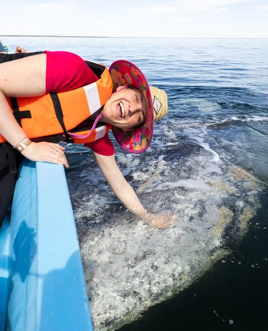 A whale watchers dream come true! ⁠
⁠
#whale #whalewatcher #whales #mexico #seaofcortez #sonadoraresort