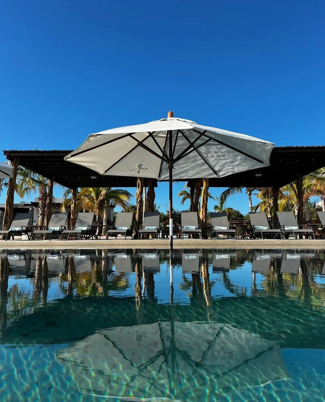 Bring your friends and unwind by the seaside infinity pool. Great for groups and families!⁠
⁠
Book your group adventure at sonadoraresort.com ⁠