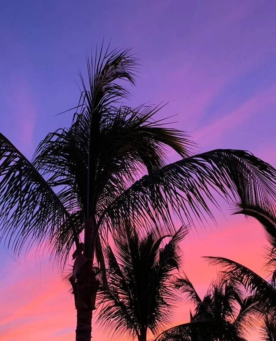 Sunsets like this have a way of slowing everything down.⁠
This is your reminder to pause and enjoy life's little moments. ✨⁠
⁠
#Sonadora #BajaSunset #WellnessTravel #SlowLiving #LuxuryWellness