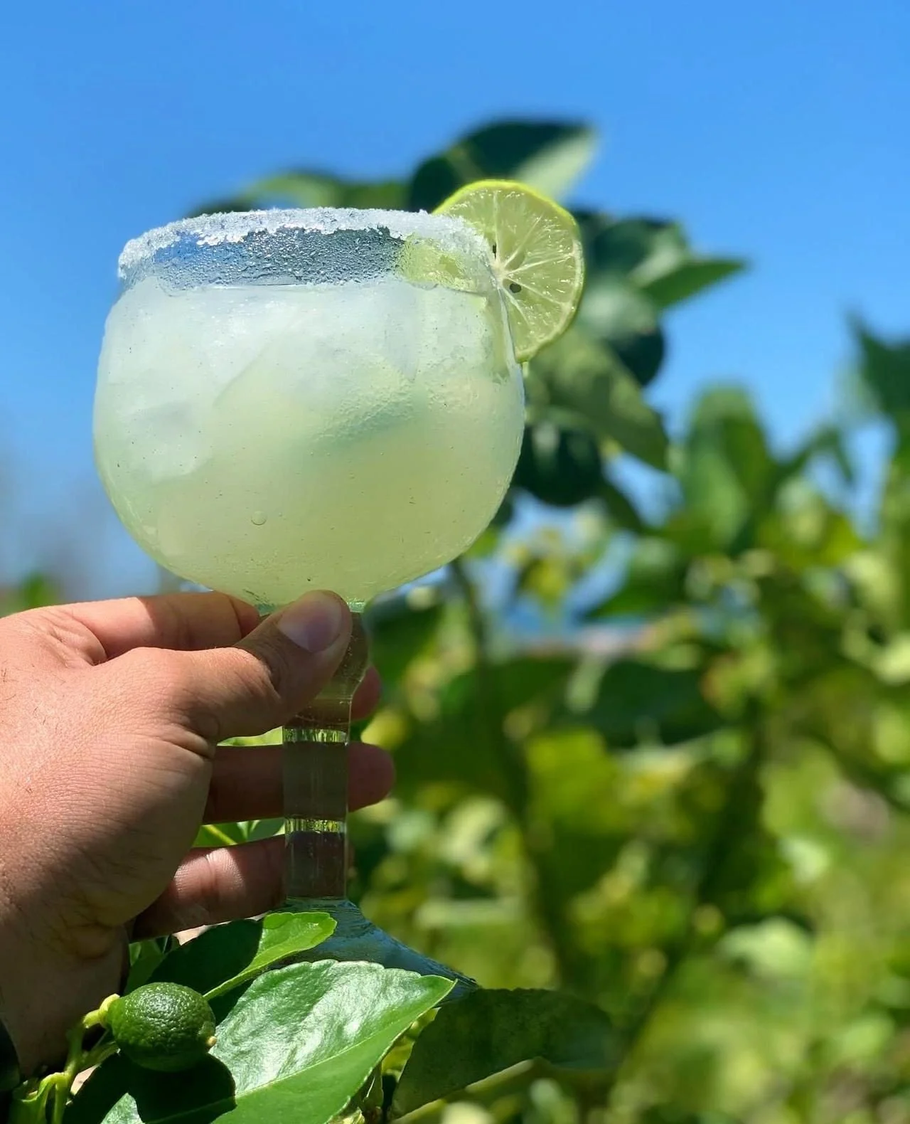 Margaritas made from fresh limes in Baja 🍋&zwj;🟩✨ What more could you need? It's happy hour somewhere!⁠
⁠
📍Sonadora Resort⁠
⁠
#MargaritaTime #FreshLimes #BajaCaliforniaSur #MexicoTravel #CocktailHour #LuxuryTravel #SonadoraResort #DrinkLocal