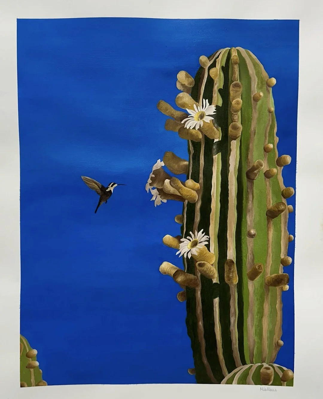 From sketchbook lines to finished oil painting &mdash; &ldquo;Baja Hummingbird&rdquo; was inspired by the beauty surrounding Sonadora Resort. 🌵✨⁠
⁠
Painted by artist @jaehaas3 on Stonehenge paper, using scenes captured right in the driveway &mdash; 