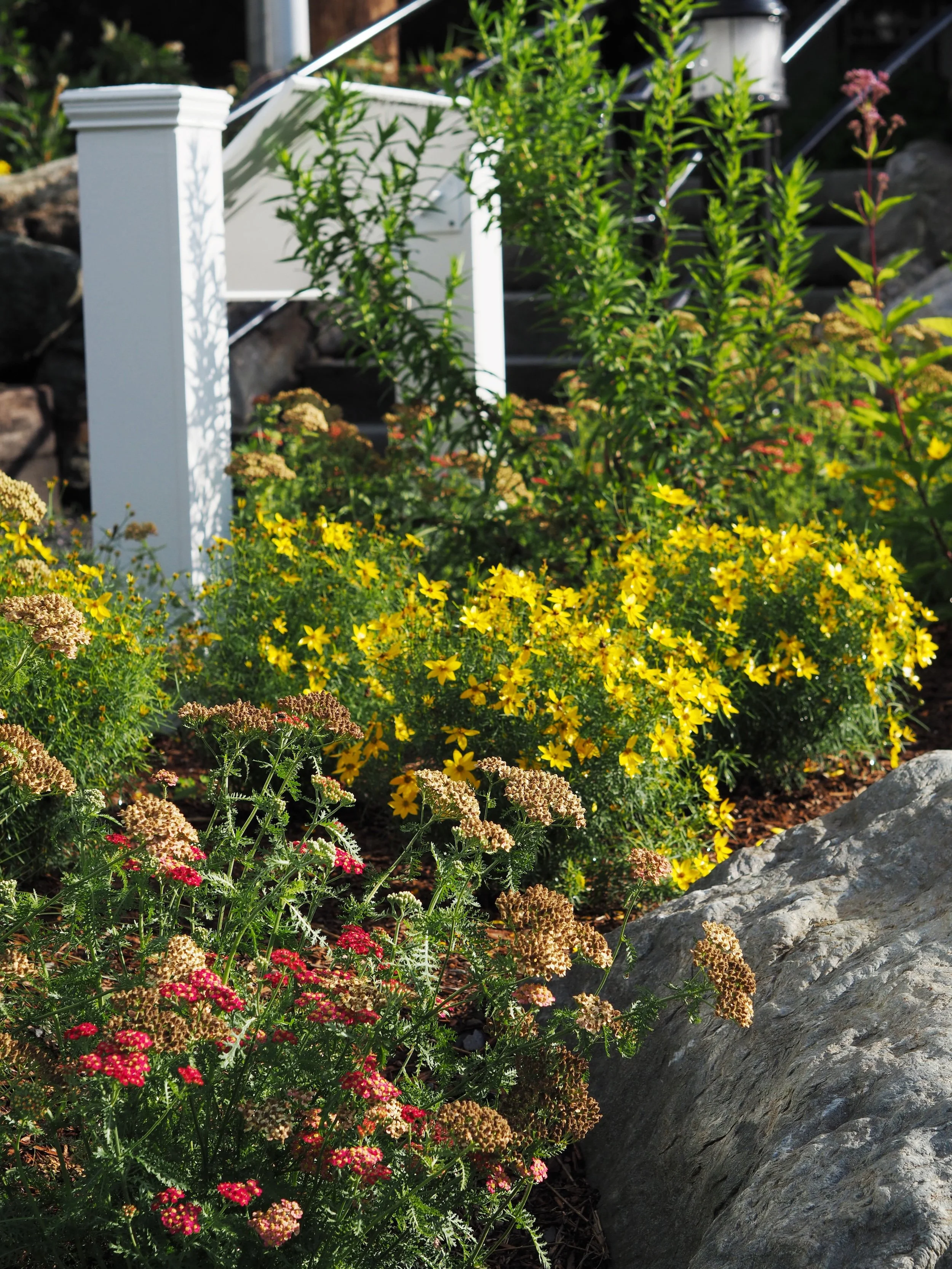Plantings in Pittsburgh, PA