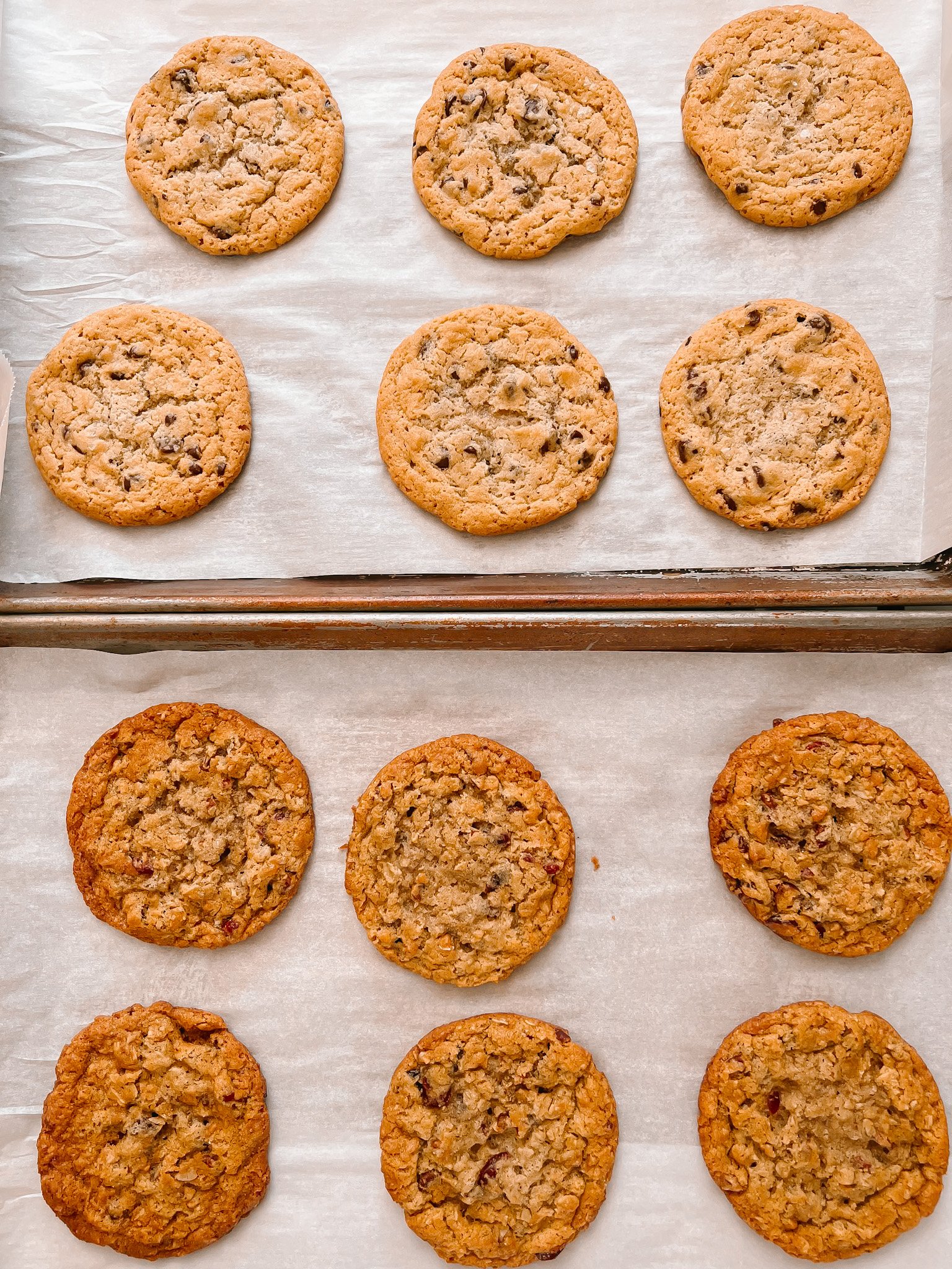 Salted Chocolate Chip and Oatmeal Raisin Cookies