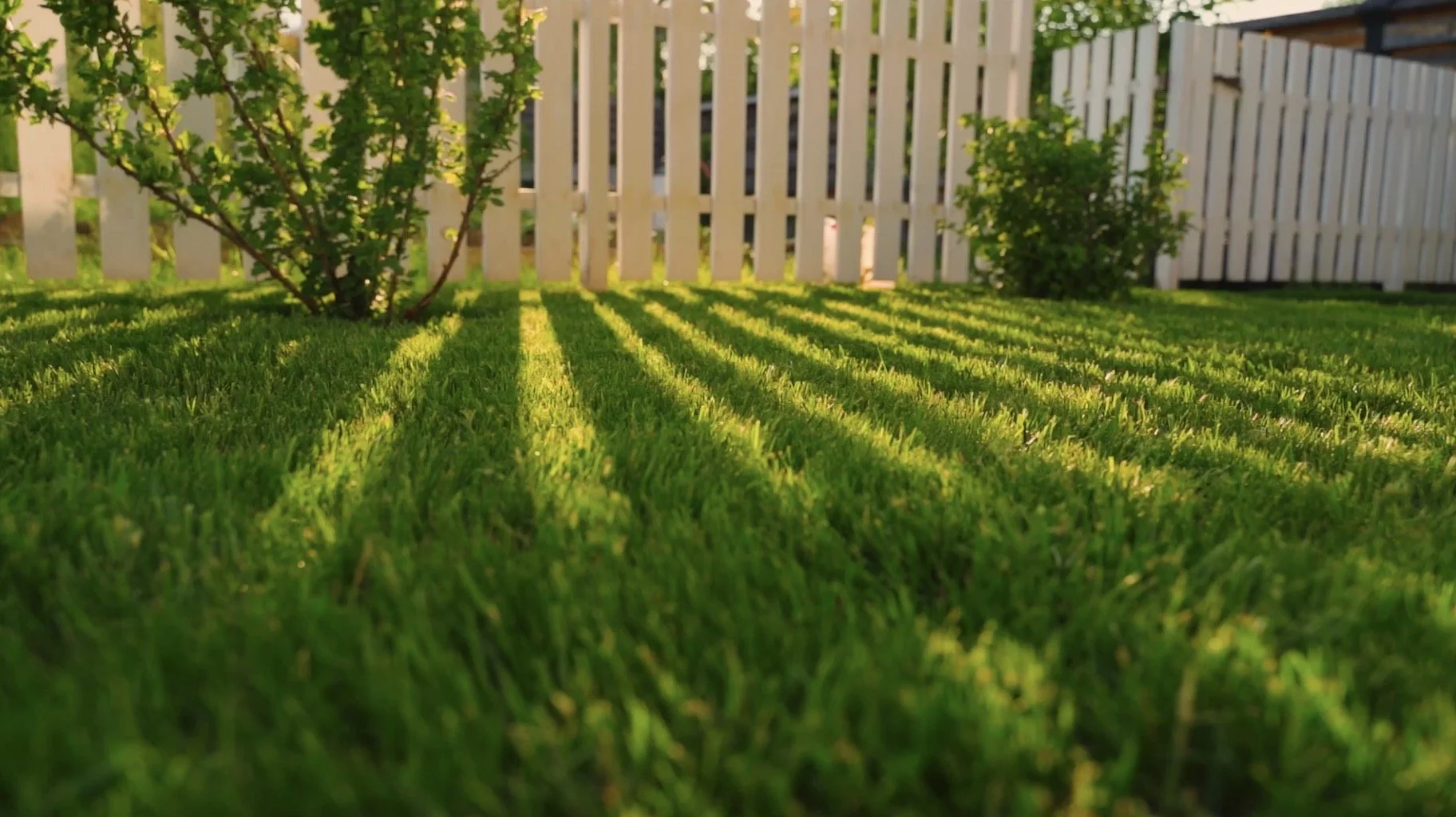 Healthy green lawn with perfect striping and professional lawn care in Lewis Center, OH.jpg
