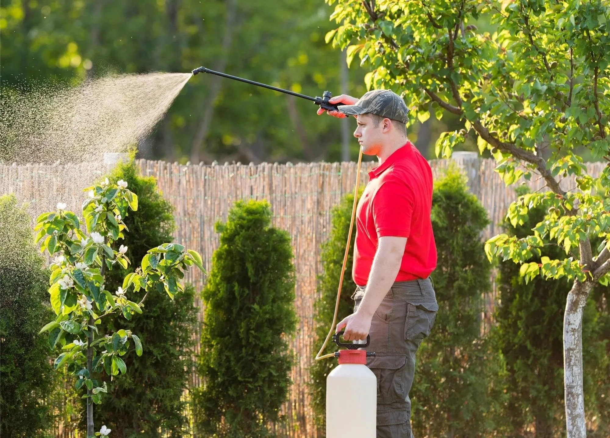 outdoor pest control