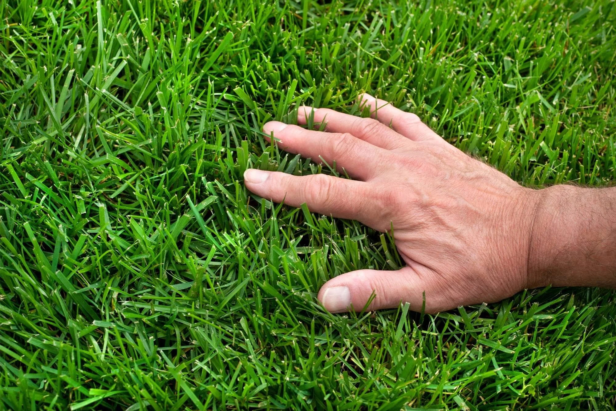 Lawn Aeration Company in Lewis Center, OH Lawn Control Center