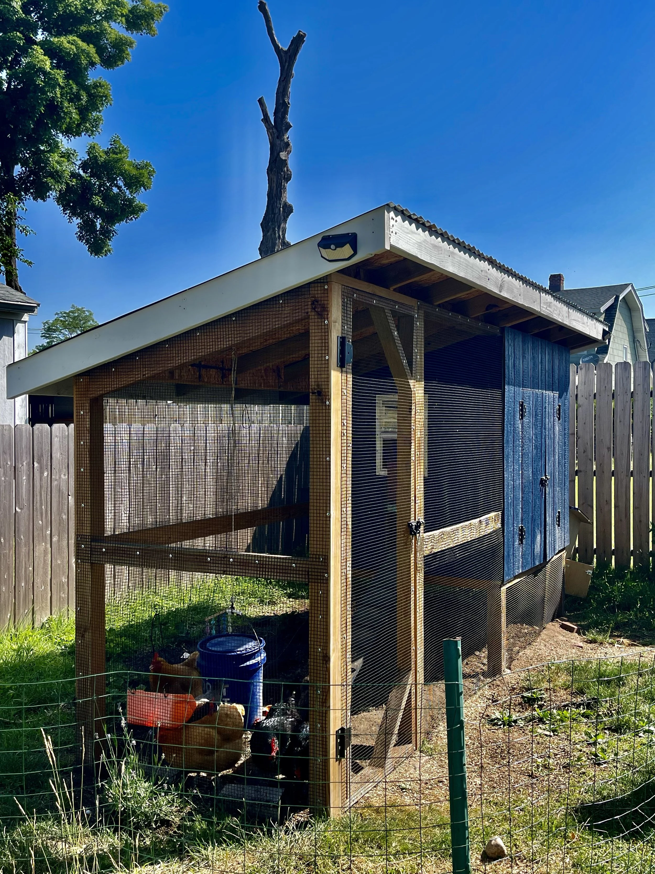 Custom chicken coop built to weather every season