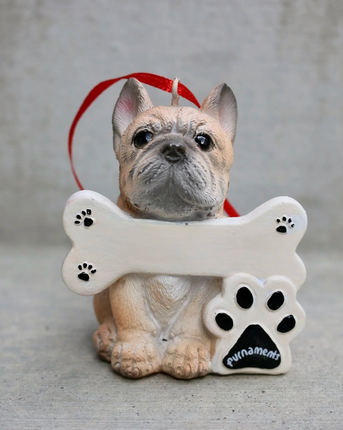 Frenchie_Fawn.jpg