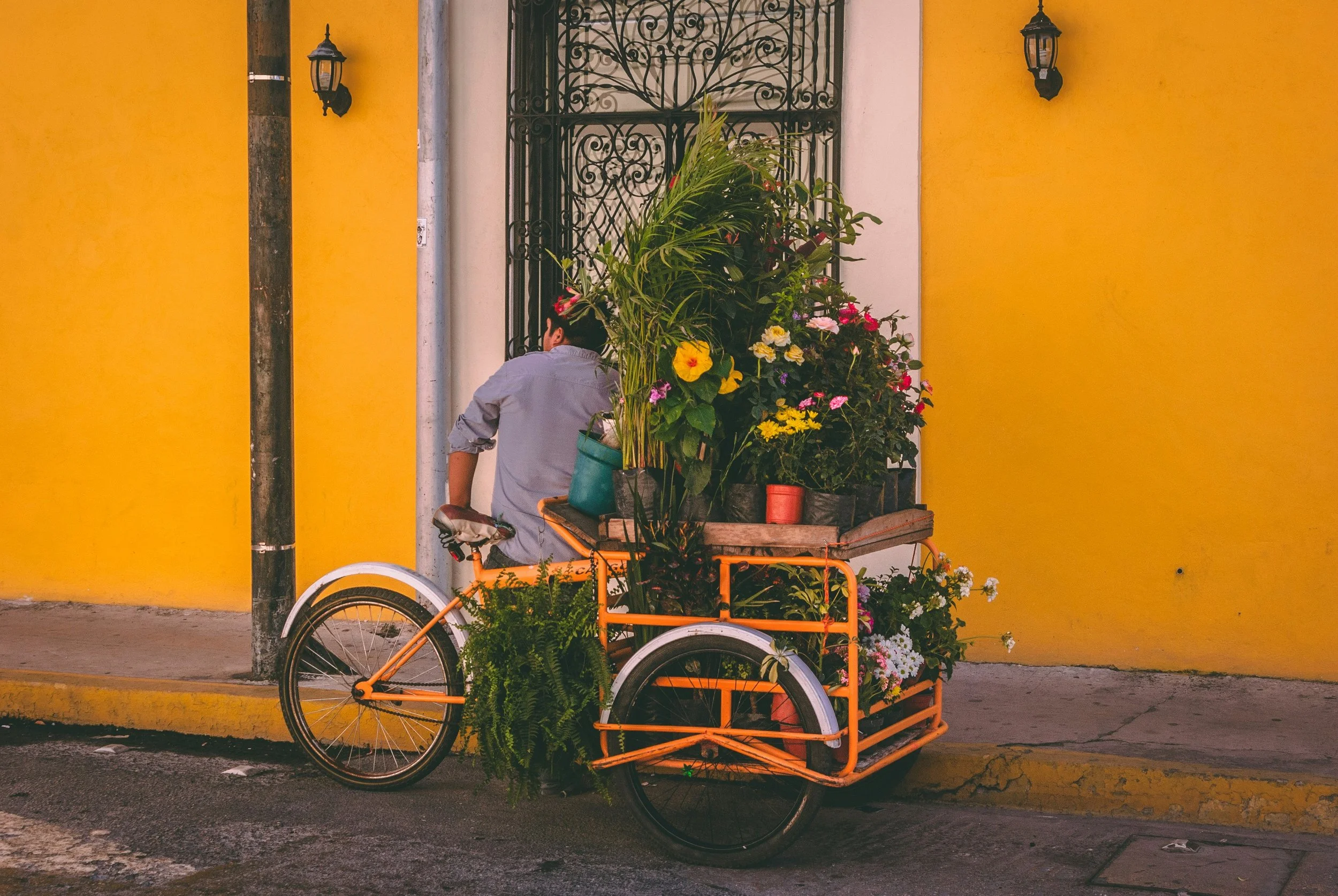 The Dental Express Mérida: Tu Viaje Exploratorio de 3 a 5 Días