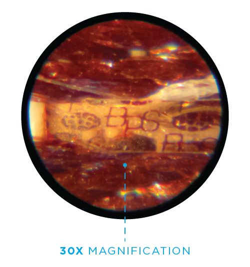 Close-up view of a small, circular object with reddish-brown and amber tones, possibly a gemstone or mineral, showing internal patterns and markings.