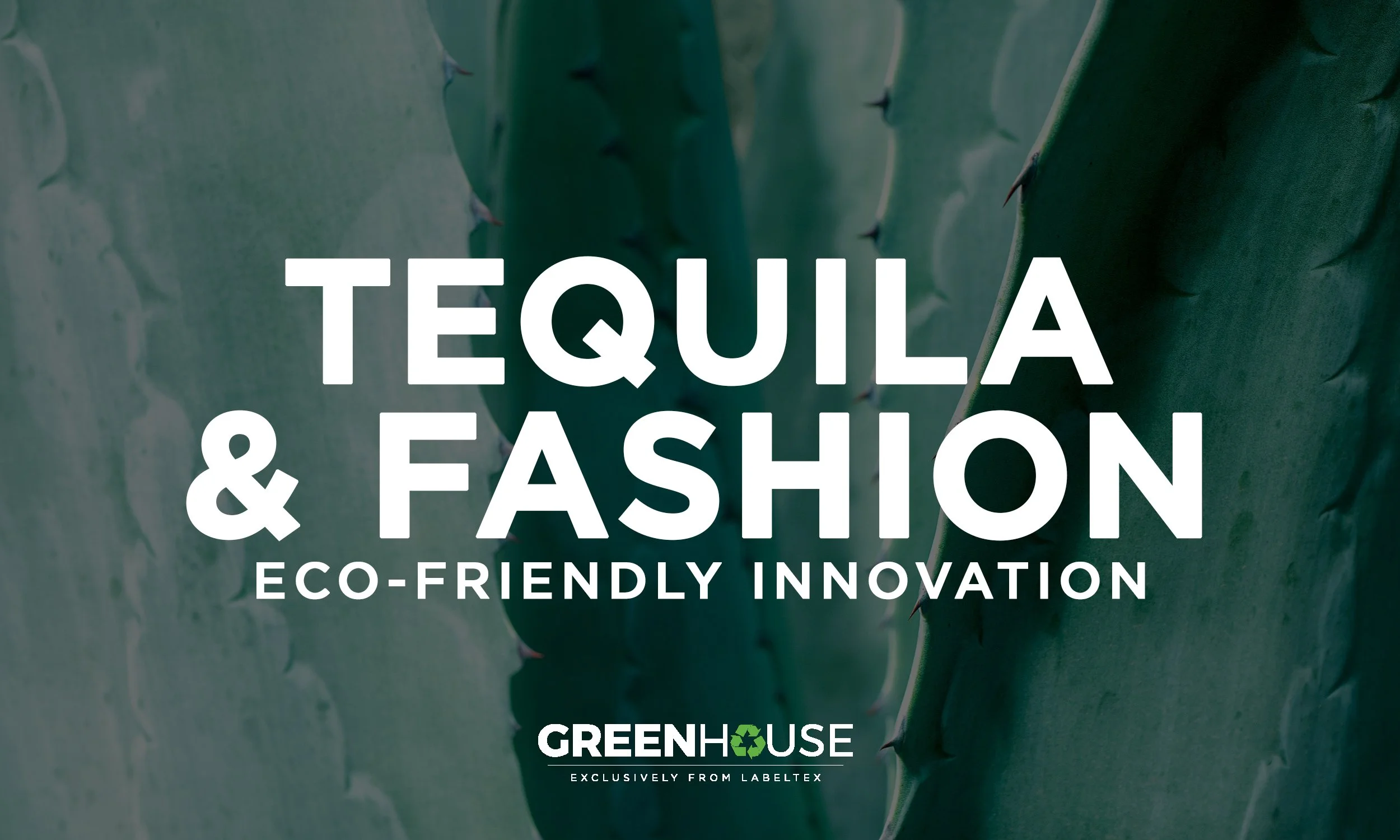 Revolutionizing Sustainability: Desserto Agave is Transforming the Tequila and Fashion Industries