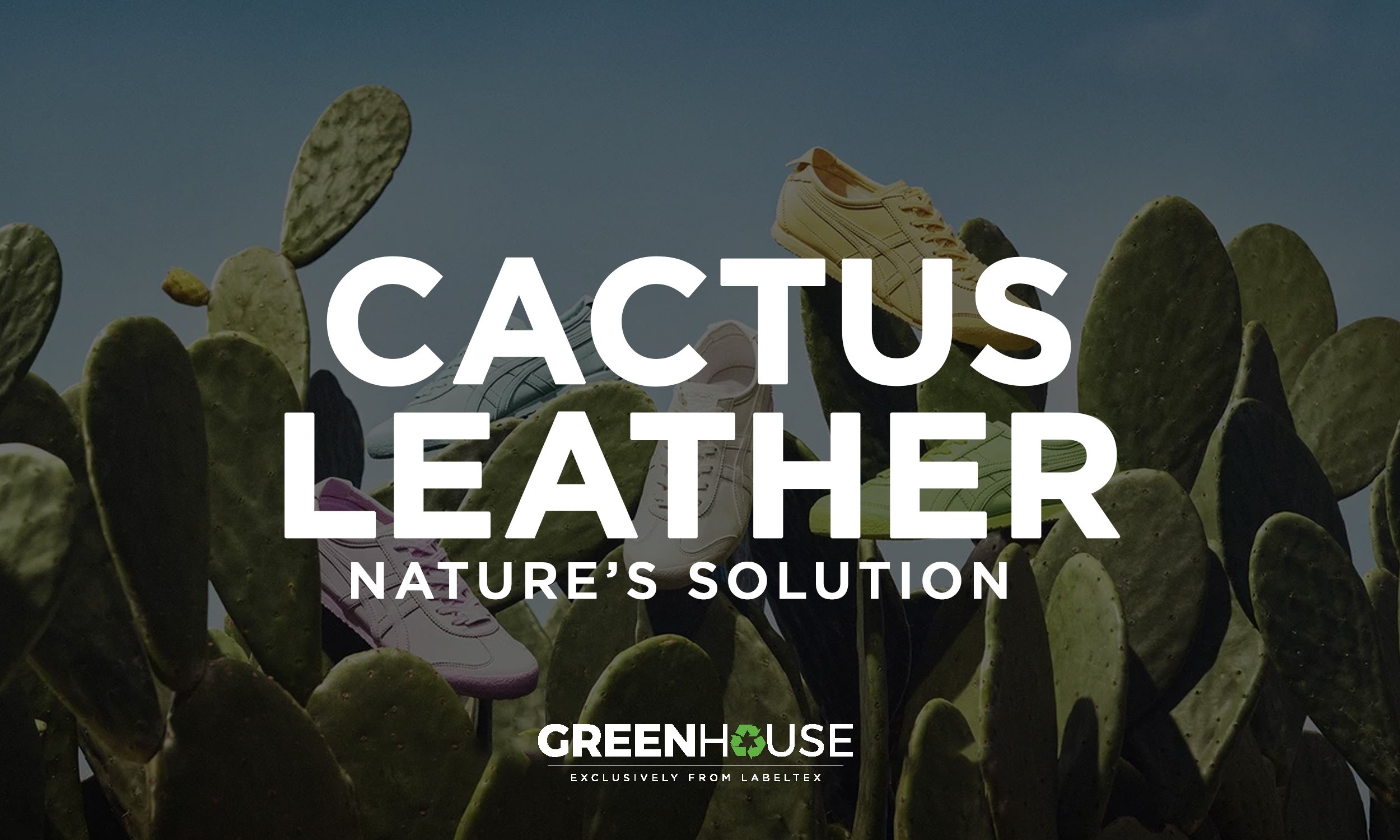 Cactus Leather: Nature's Solution to Fashion