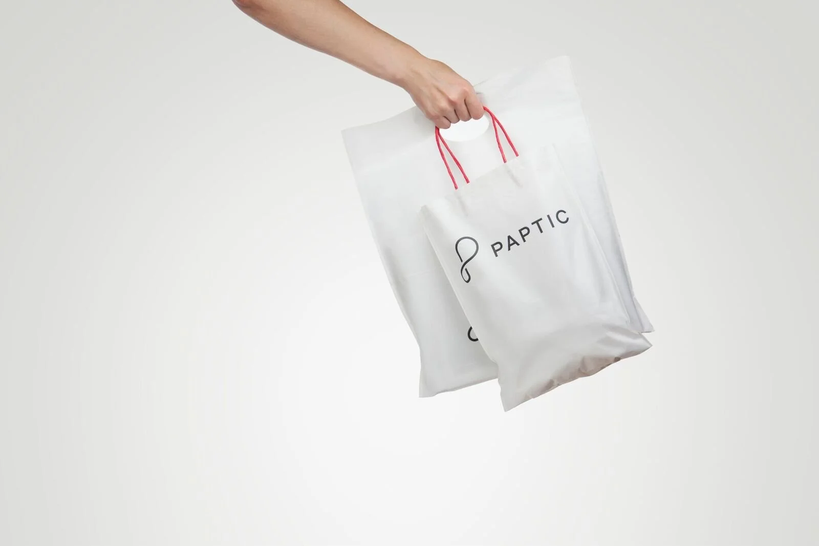 Image of a Paptic® bags showcasing the versatility.