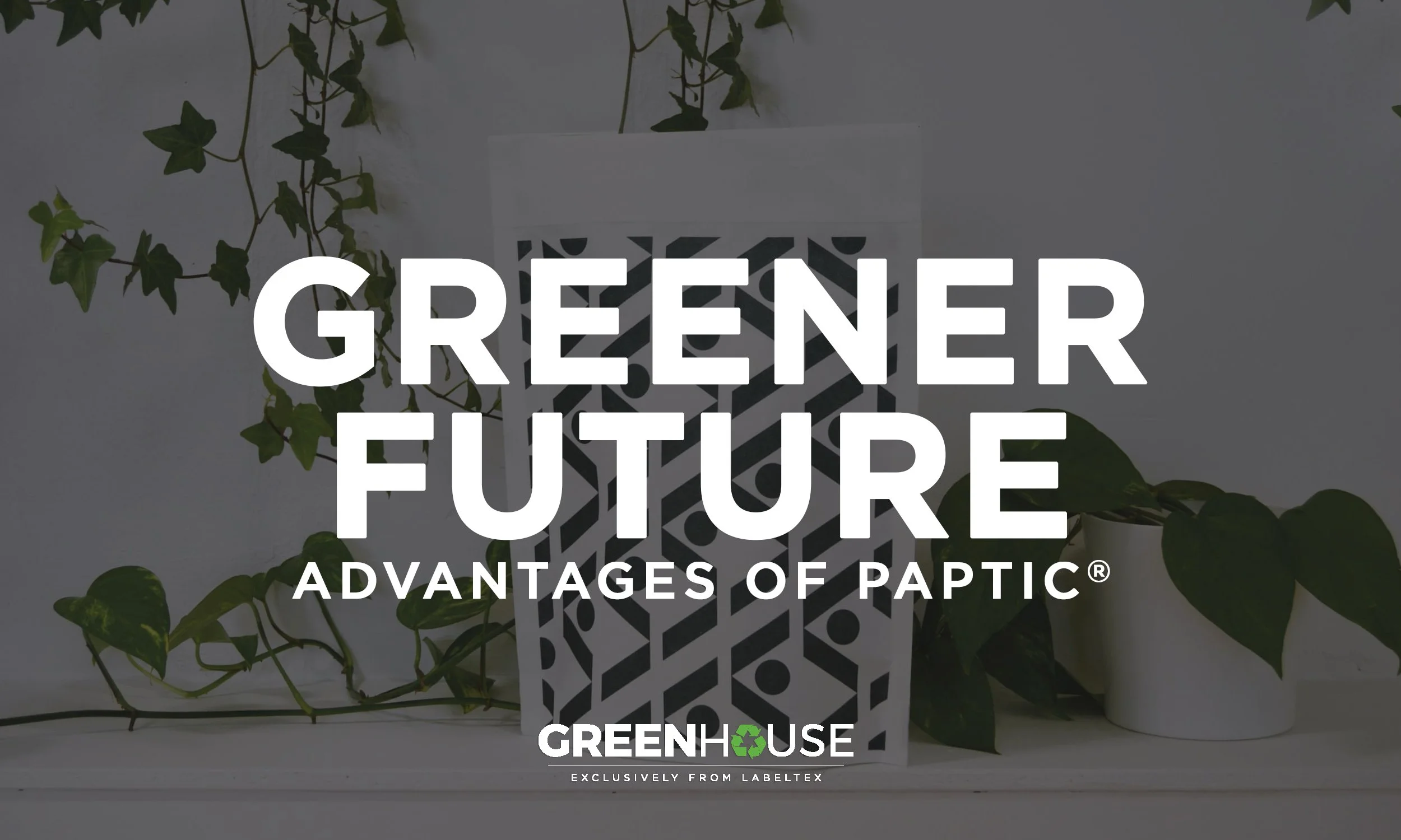 Revolutionizing Packaging with Paptic®: A Sustainable Alternative