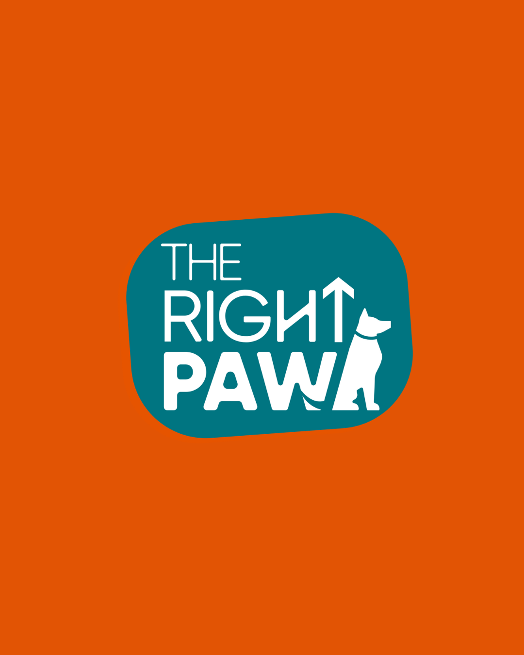 Logo with the text 'The Right Paw,' featuring a stylized dog silhouette and an upward arrow as part of the design, set against a blue background with an orange backdrop.