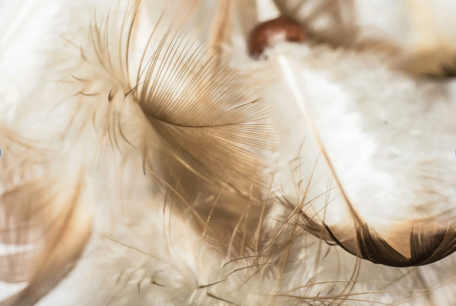 Screenshot 2026-04-26 at 7.05.26 PM.png