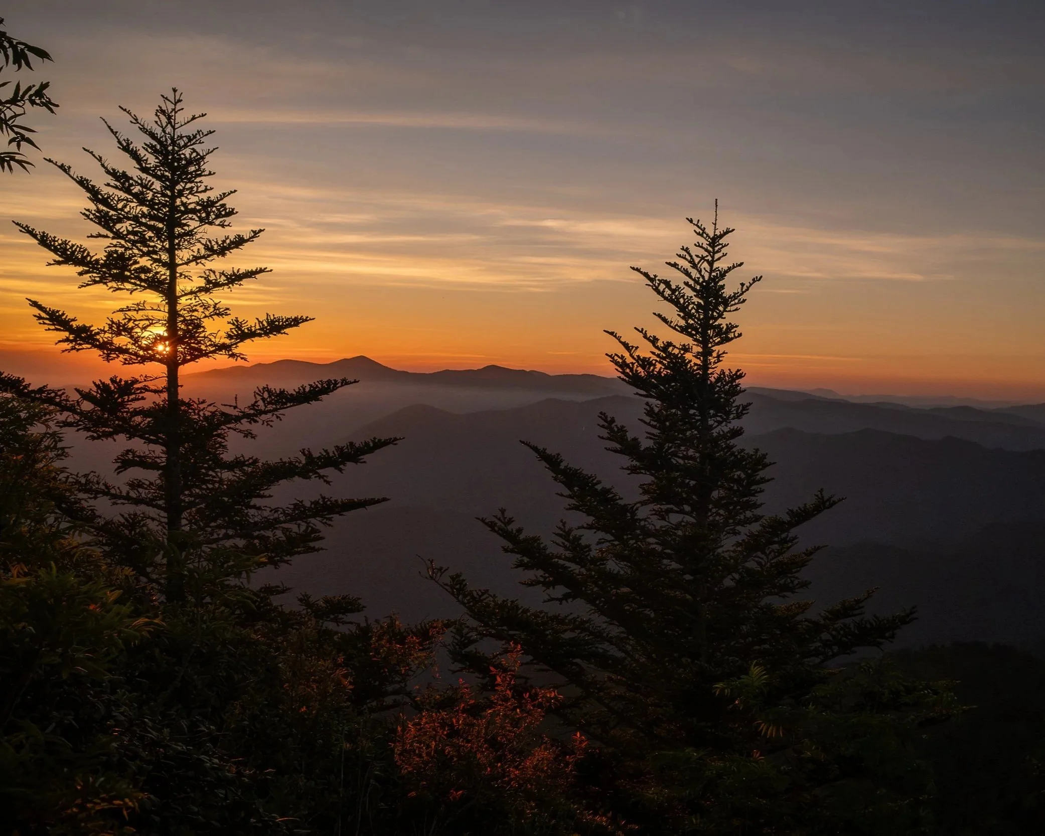 DSCF3476.jpg