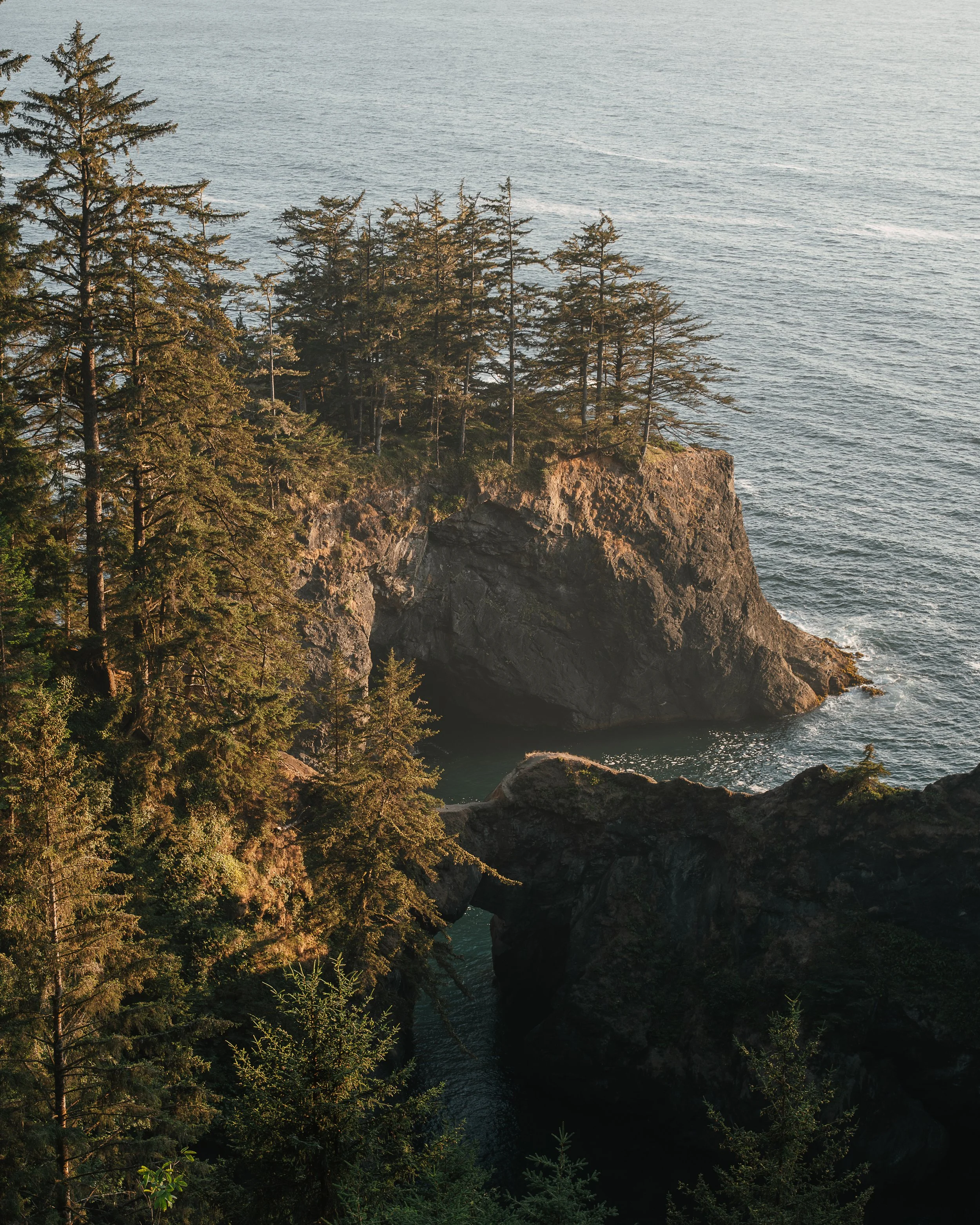 6II_0407-2.jpg