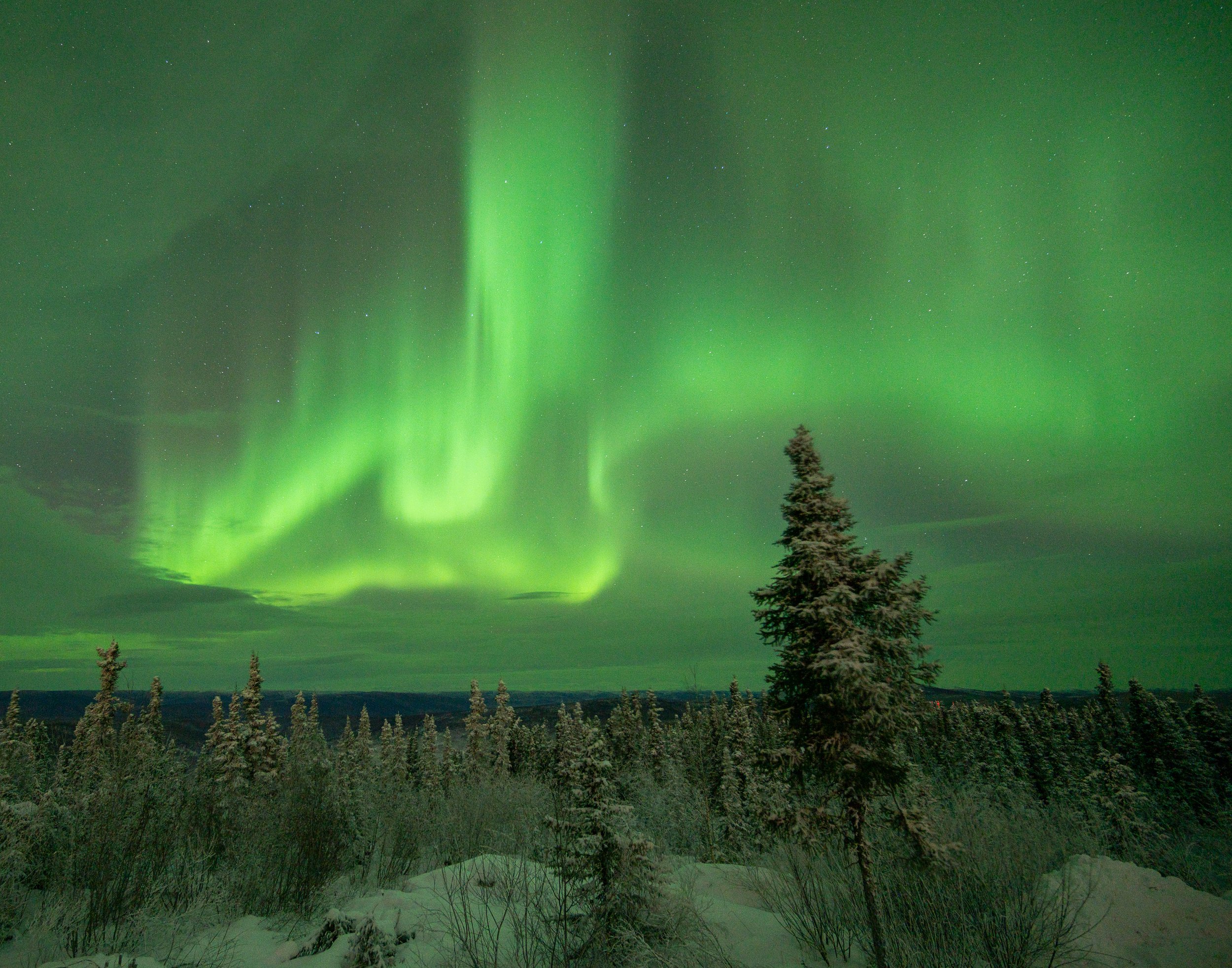 Aurora Print 2.jpg