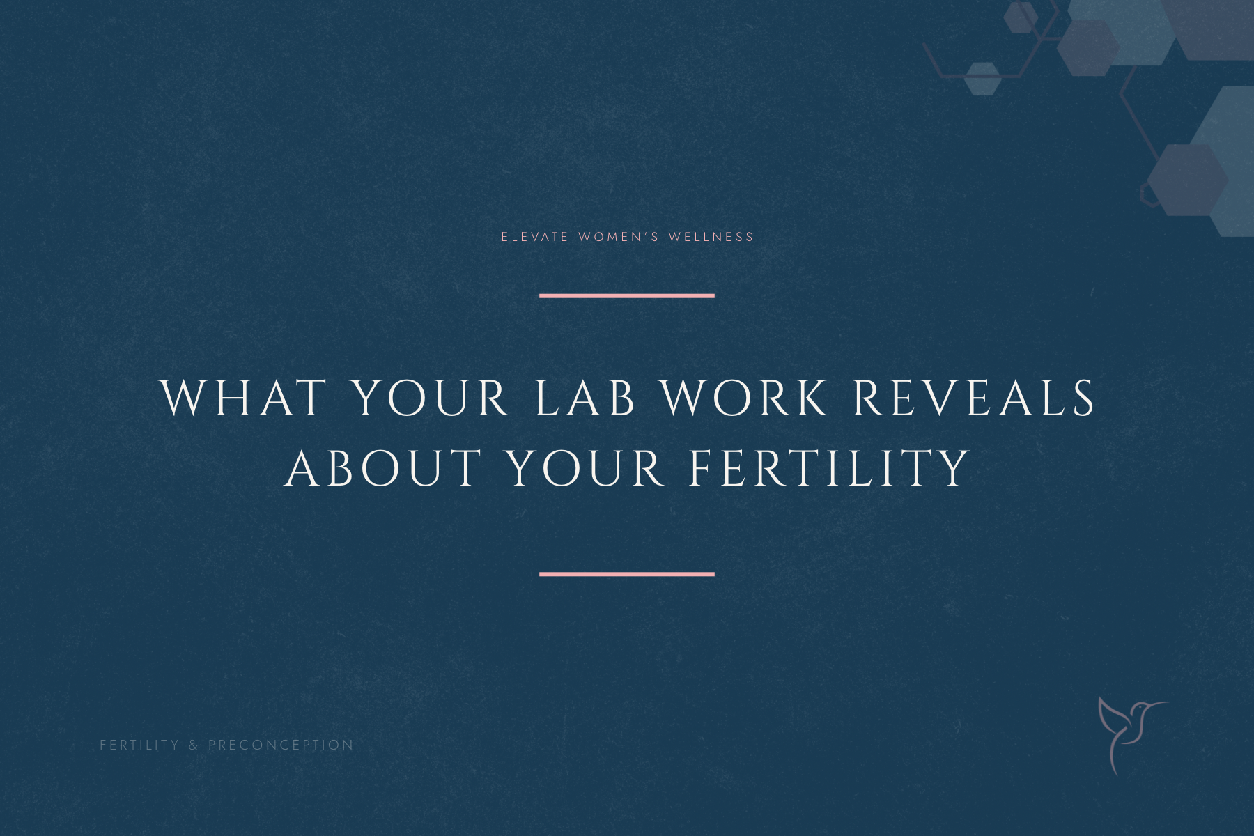 What Your Lab Work Reveals About Your Fertility That Your OB Isn't Checking