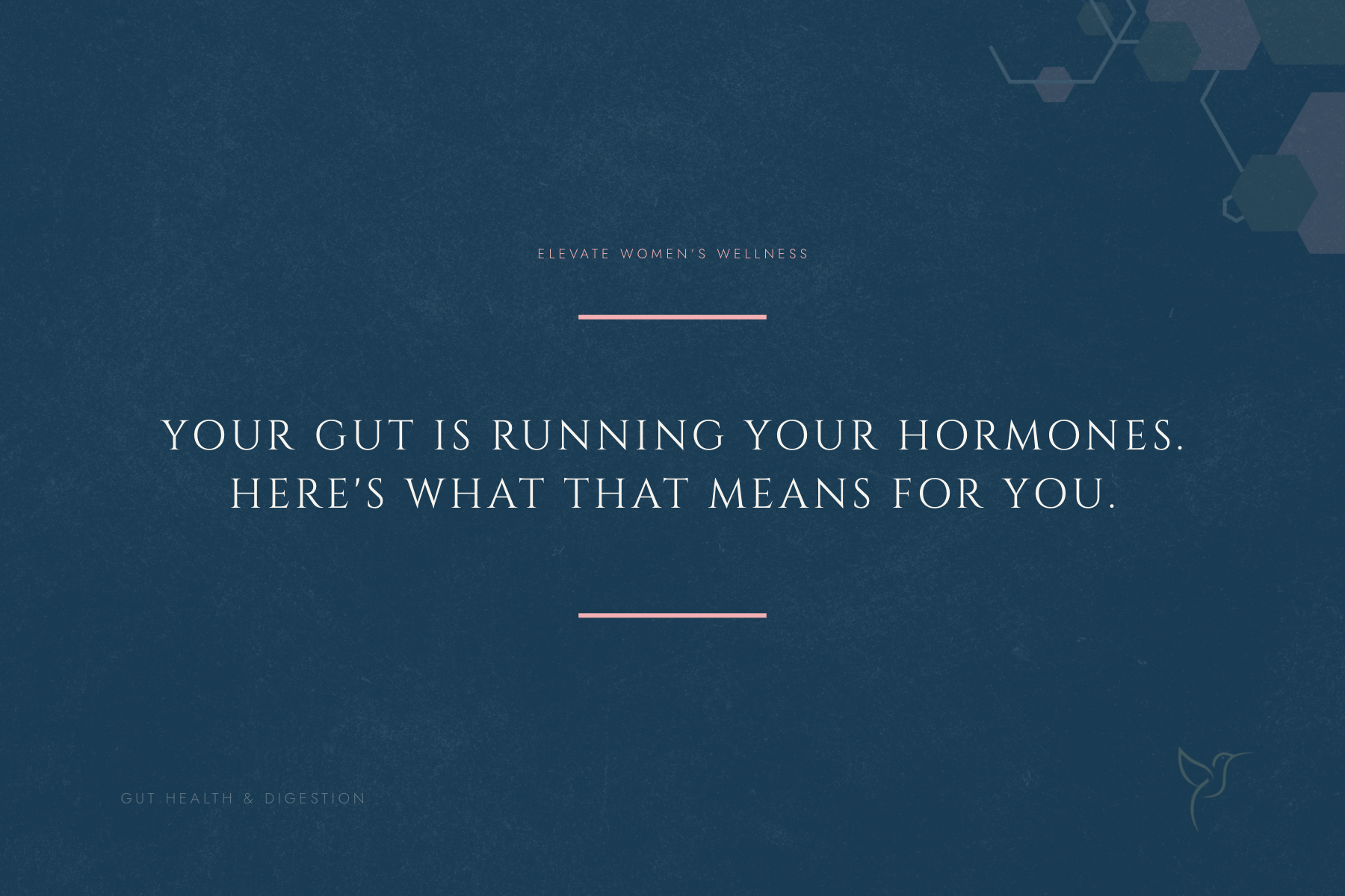 Your Gut Is Running Your Hormones. Here's What That Means for You