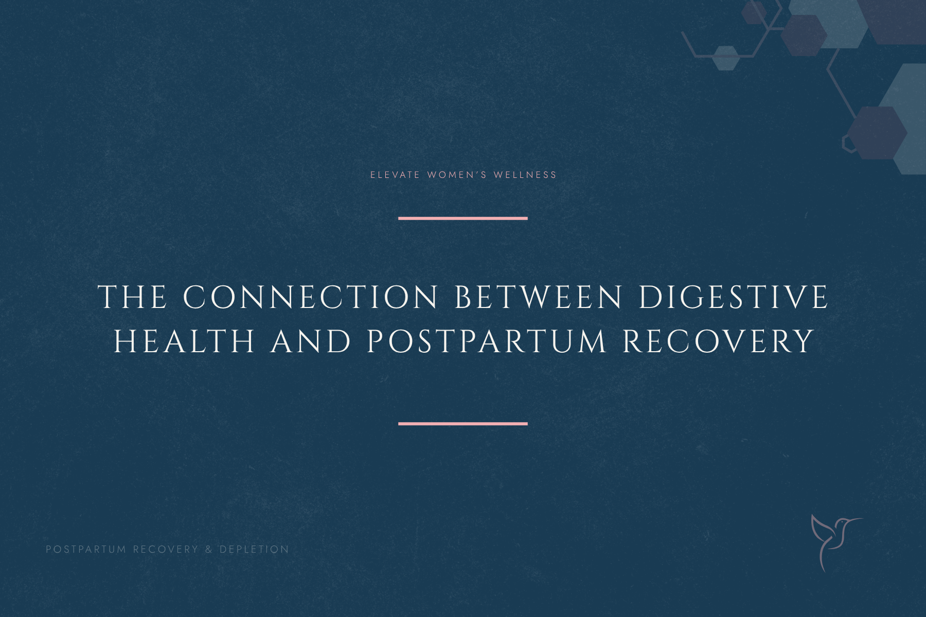 The Connection Between Digestive Health and Postpartum Recovery