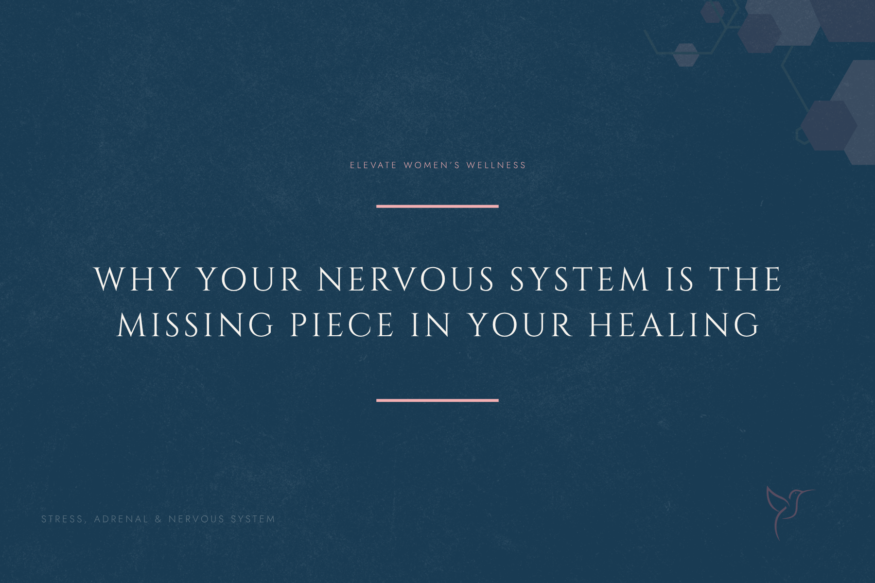 Why Your Nervous System Is the Missing Piece in Your Healing
