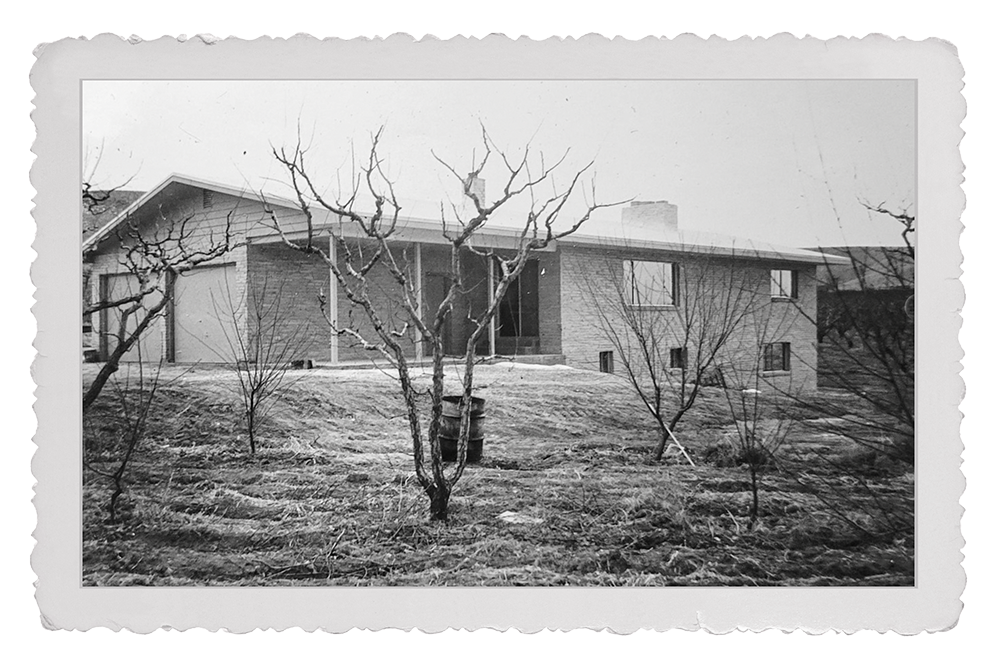 03-Grandmas-orchard-web.png