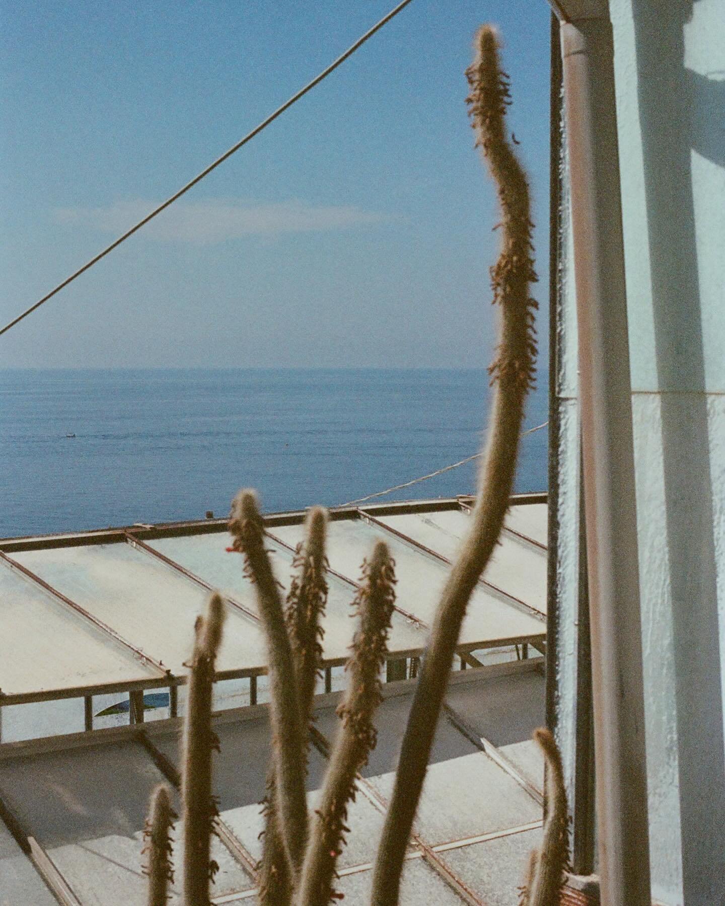 La dolce vita begins here.
